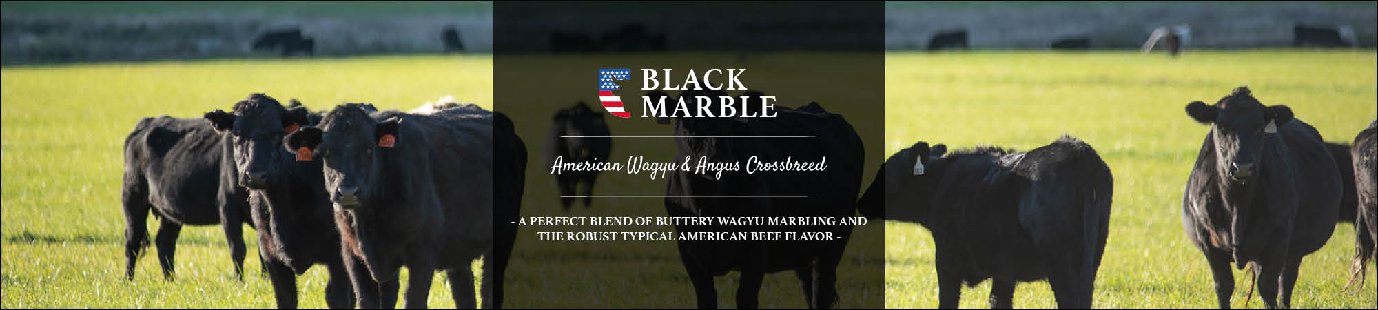 Black Marble USA